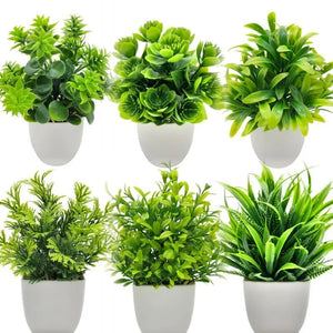 SLENVI GreenNest Mini Plant - slenvi