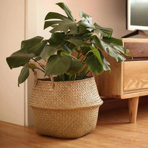SLENVI TerraWeave Planter Basket - slenvi