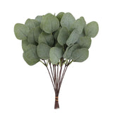 SLENVI EucaCalm™ Leaf Picks (20PCS) - slenvi