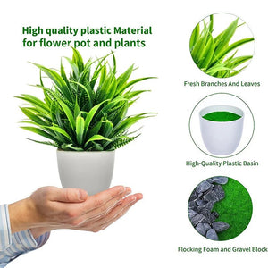 SLENVI GreenNest Mini Plant - slenvi