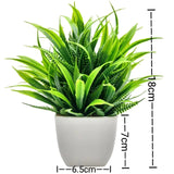 SLENVI GreenNest Mini Plant - slenvi