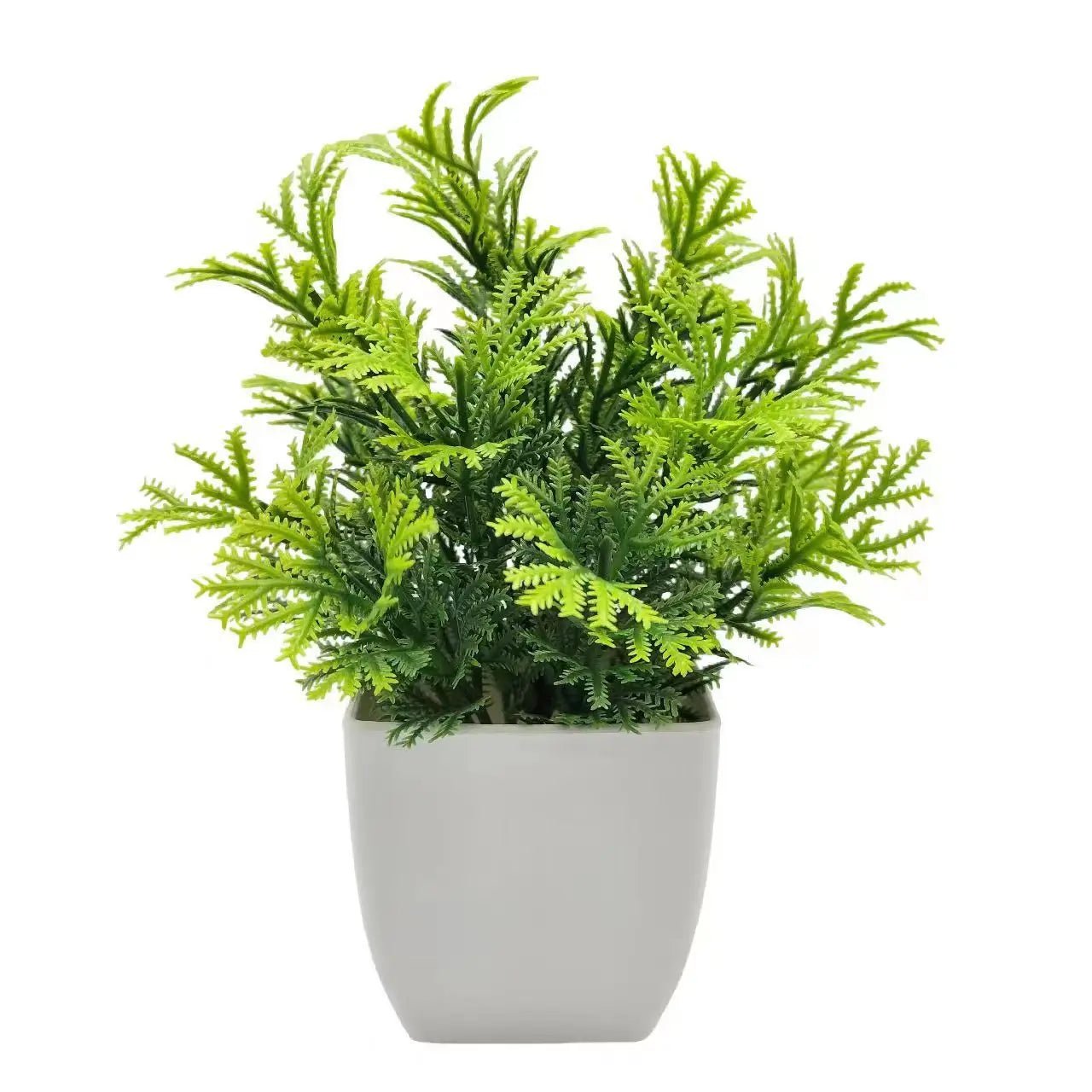 SLENVI GreenNest Mini Plant - slenvi