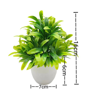 SLENVI GreenNest Mini Plant - slenvi
