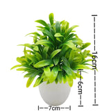 SLENVI GreenNest Mini Plant - slenvi