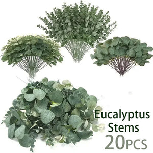 SLENVI EucaCalm™ Leaf Picks (20PCS) - slenvi