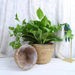 SLENVI TerraWeave Planter Basket - slenvi