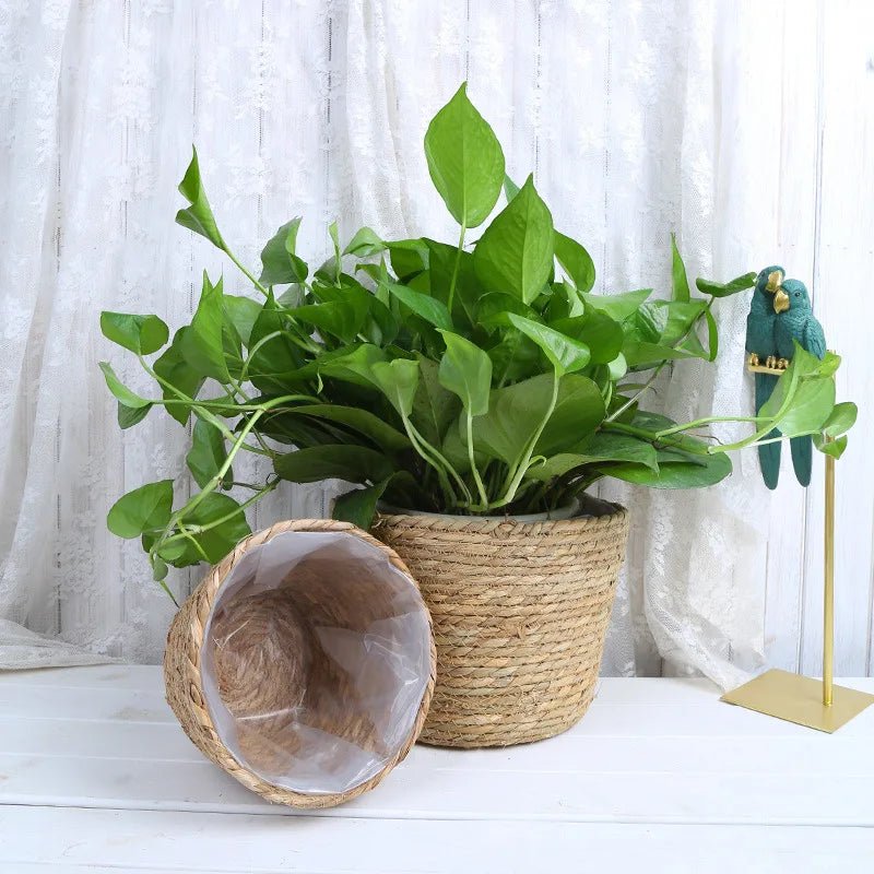 SLENVI TerraWeave Planter Basket - slenvi