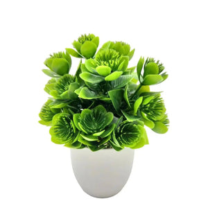 SLENVI GreenNest Mini Plant - slenvi