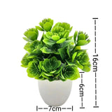 SLENVI GreenNest Mini Plant - slenvi