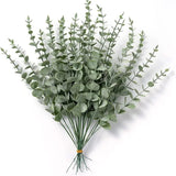 SLENVI EucaCalm™ Leaf Picks (20PCS) - slenvi