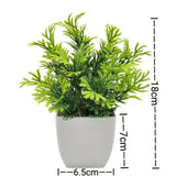 SLENVI GreenNest Mini Plant - slenvi
